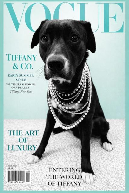 Pecan, a Adoptable Mixed Breed in Mustang, OK image 3/3