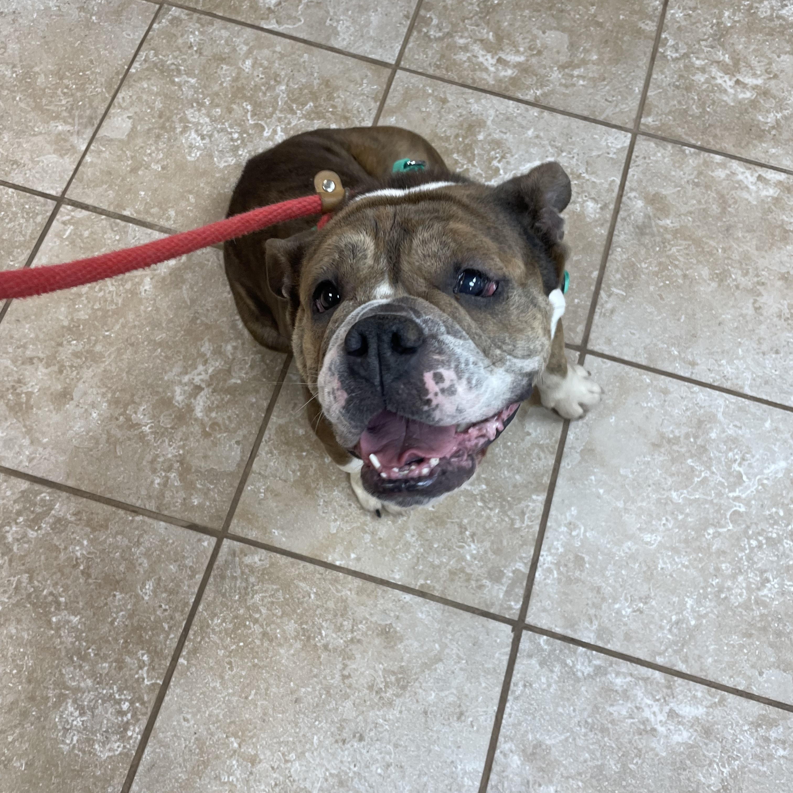 Trudy Too Sweet — thumbnail 3