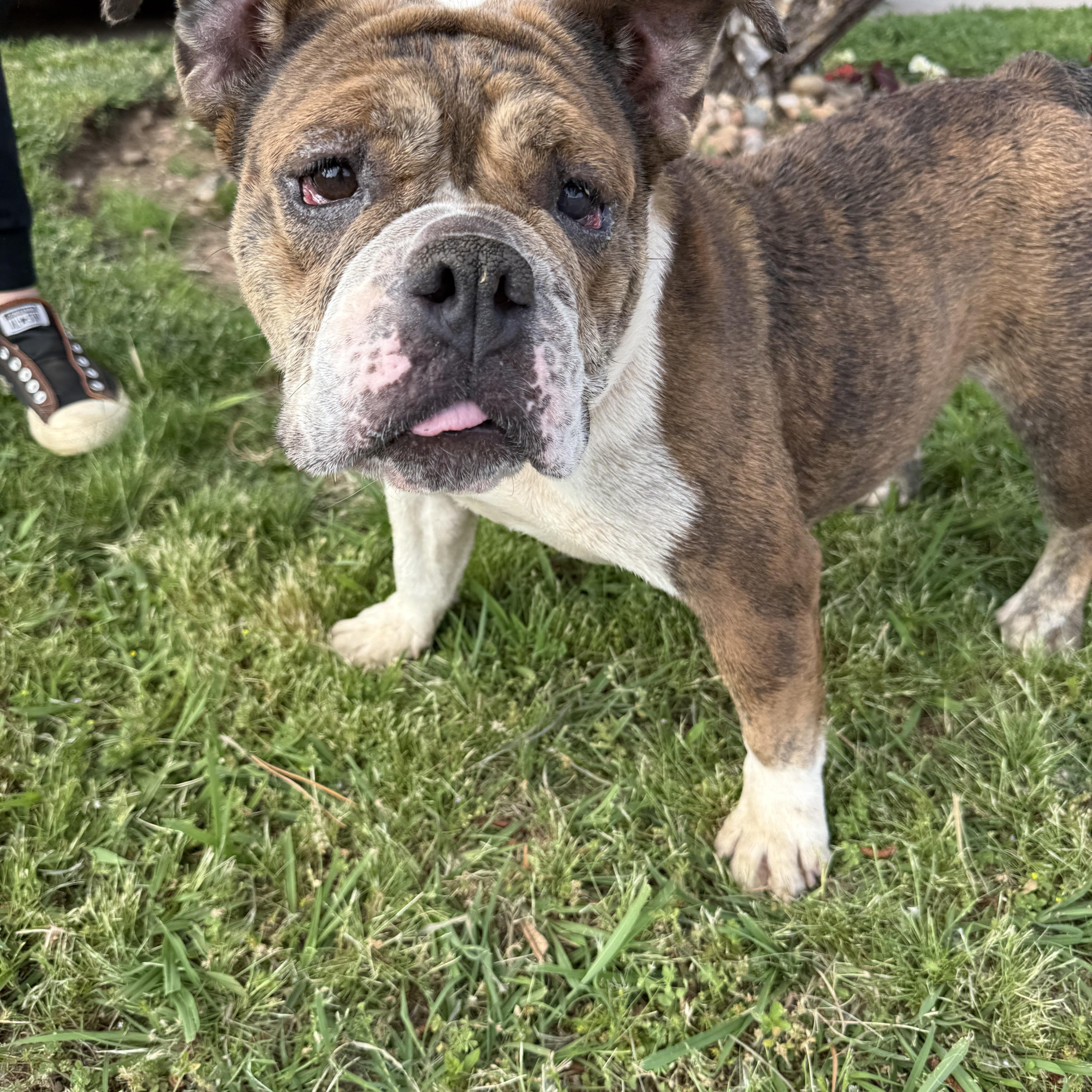 Trudy Too Sweet — thumbnail 4