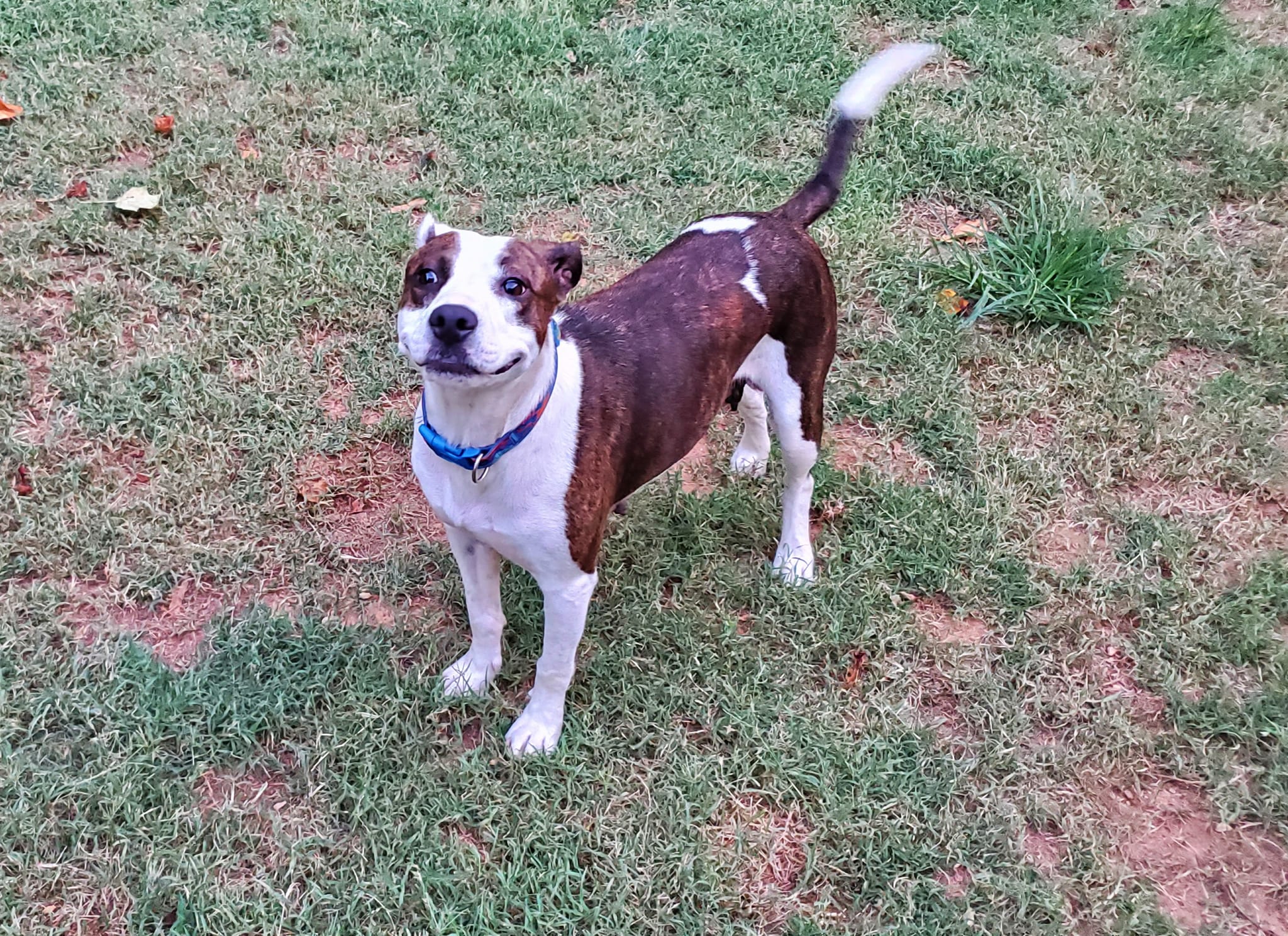 Maggie photo 4