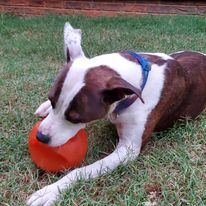 Maggie photo 6