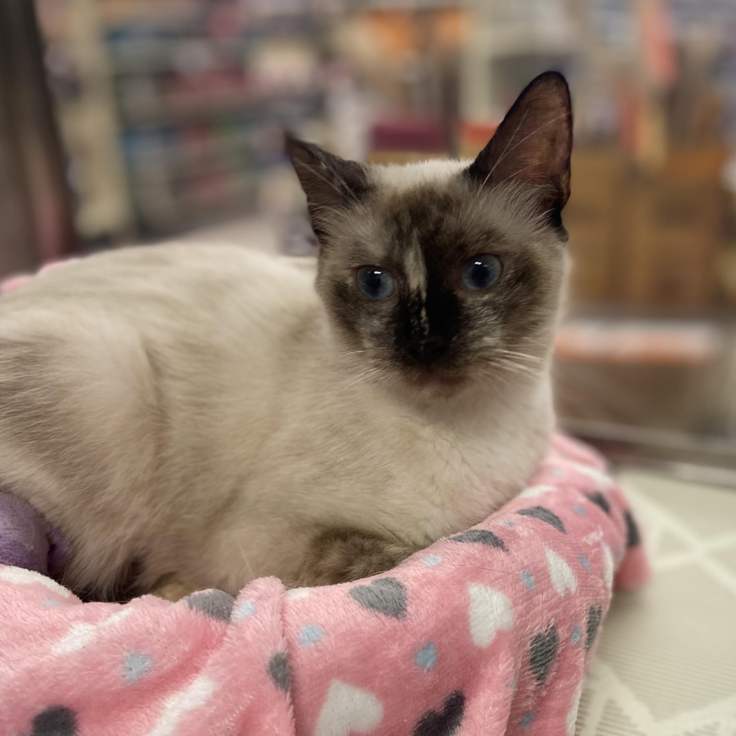 Coco