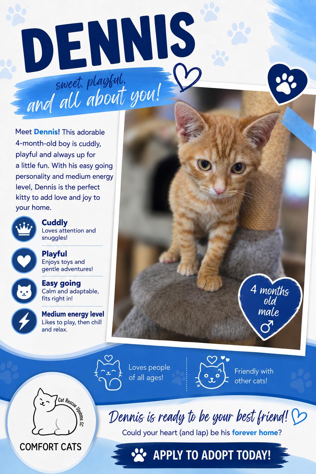 Enlarge Dennis, a Adoptable Domestic Short Hair in Moore, SC image 1/1