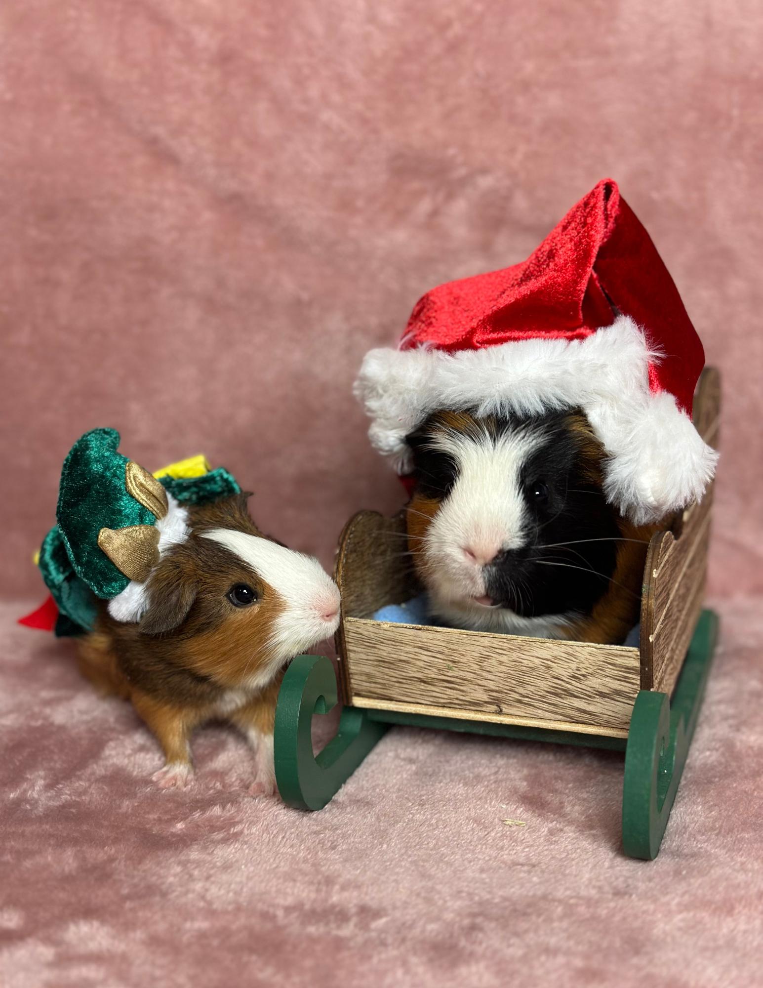 Tripp & Palmer