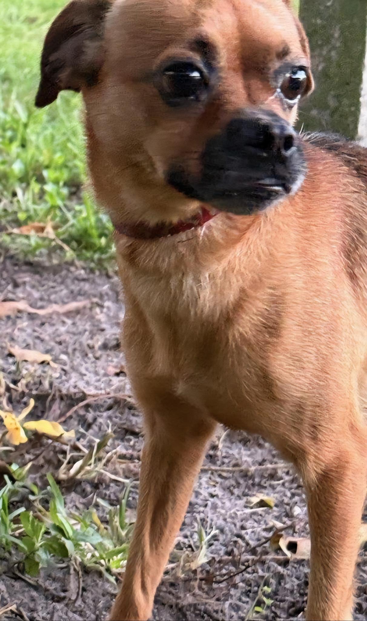 Bonnie