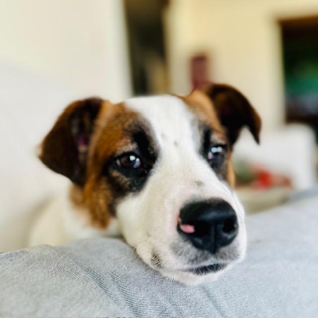 Giovanni — thumbnail 2