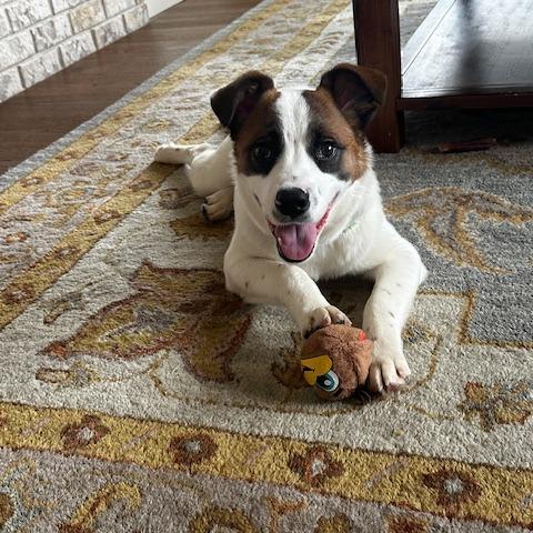 Giovanni — thumbnail 3