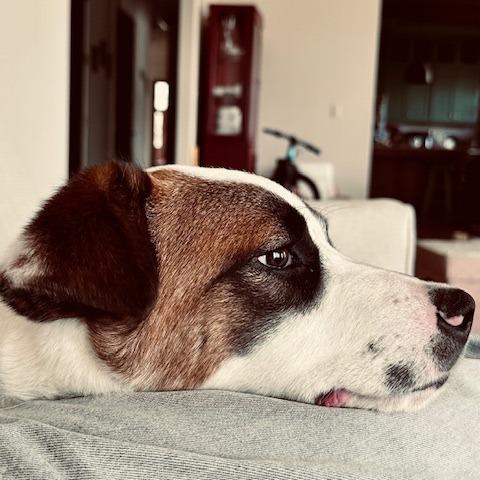 Giovanni — thumbnail 5