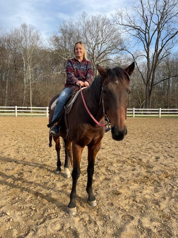 Enlarge Simon, a ADOPTABLE Thoroughbred in KNOXVILLE, MD image 4/4
