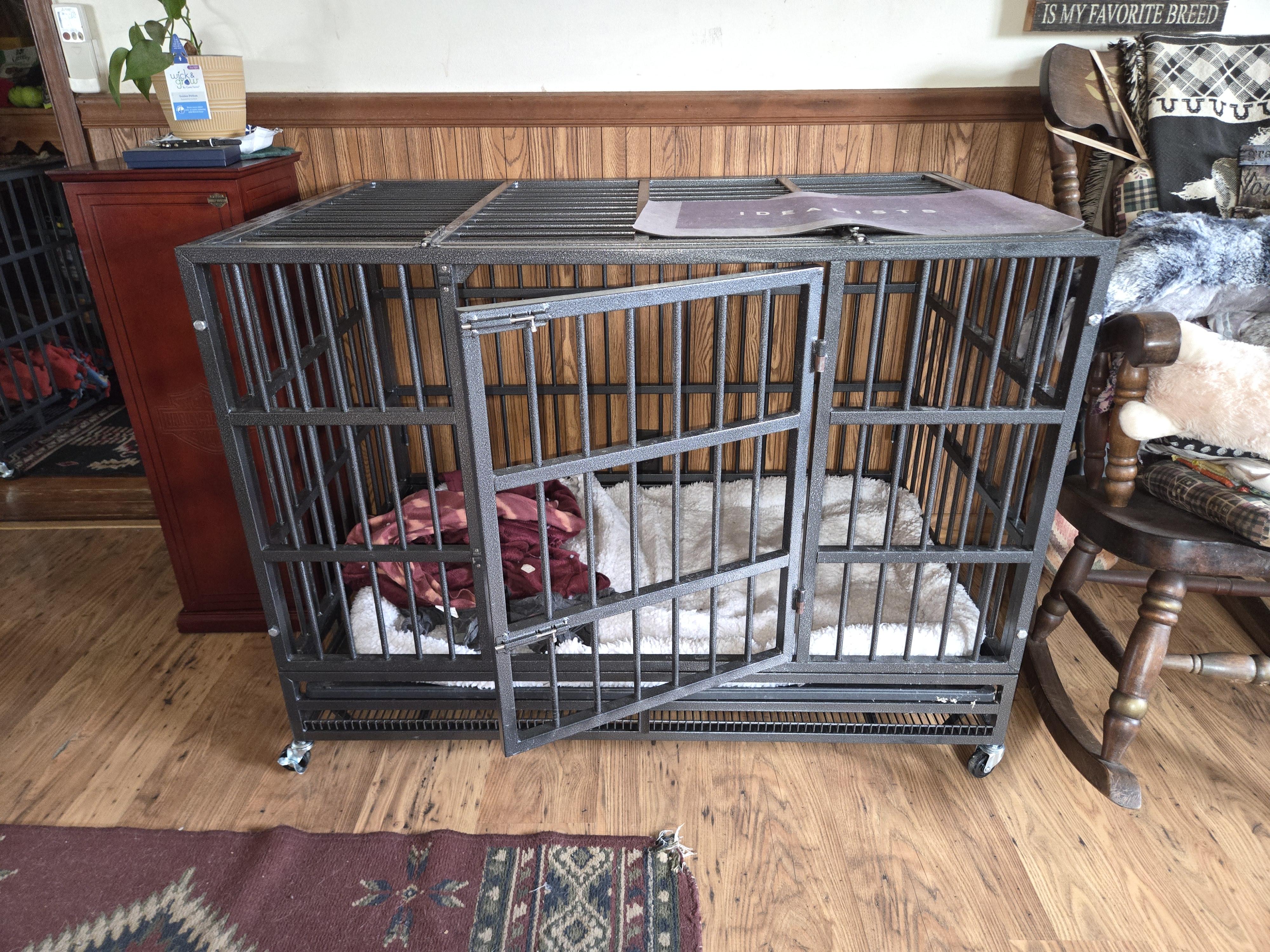 Enlarge Maggie Mae - Va, a ADOPTABLE Bullmastiff in Luray, VA image 6/6