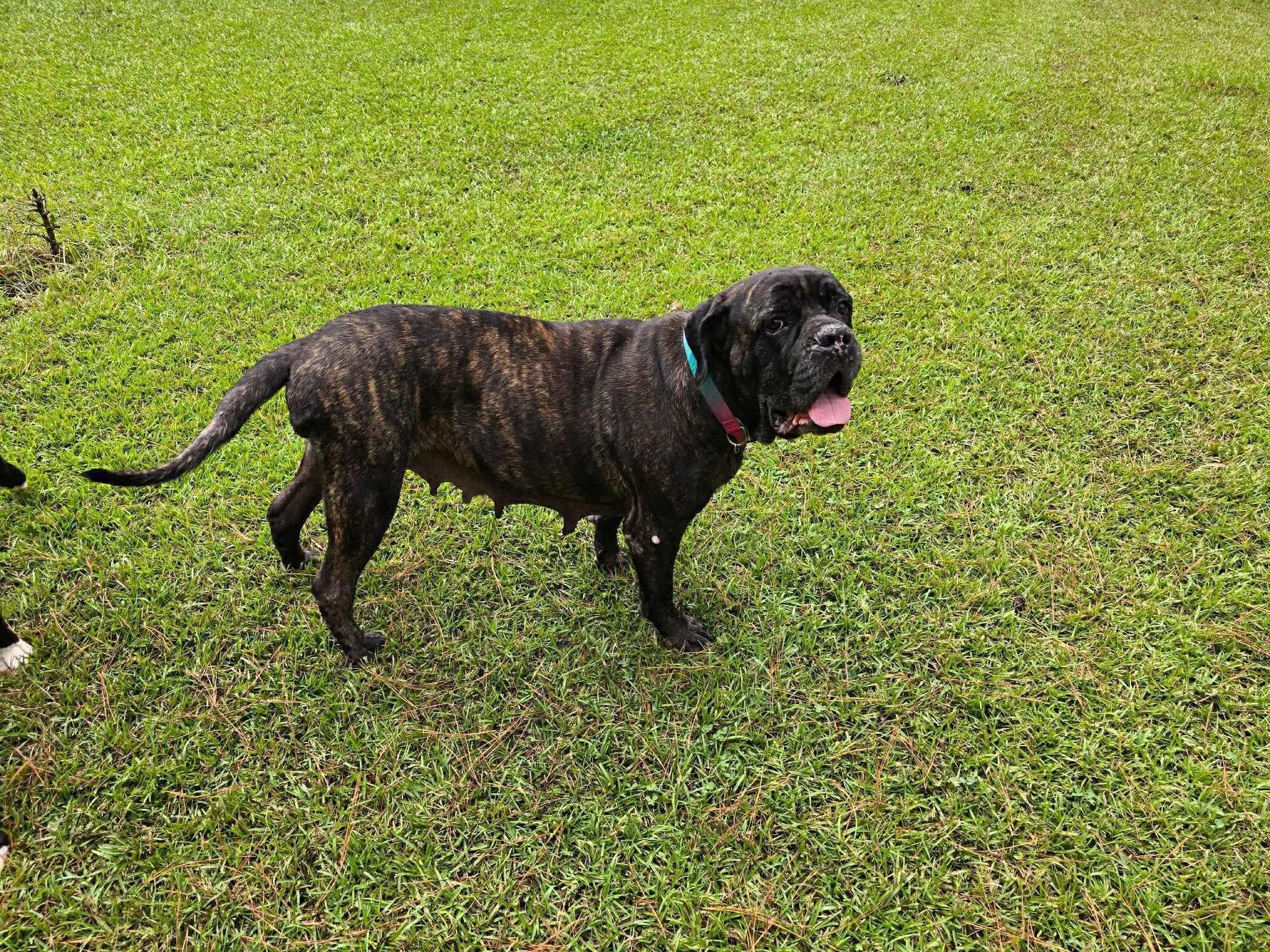 Maggie Mae  Va thumbnail 3