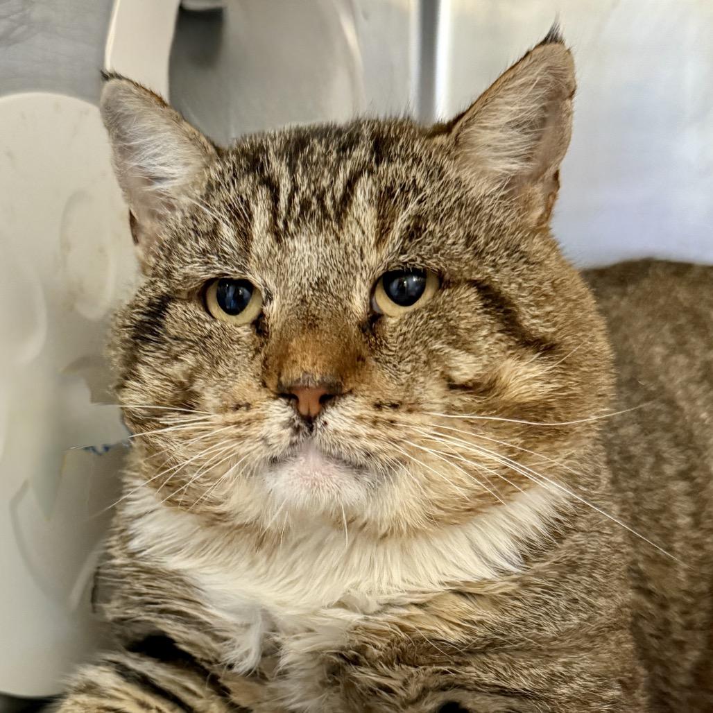 Old Guy — thumbnail 2