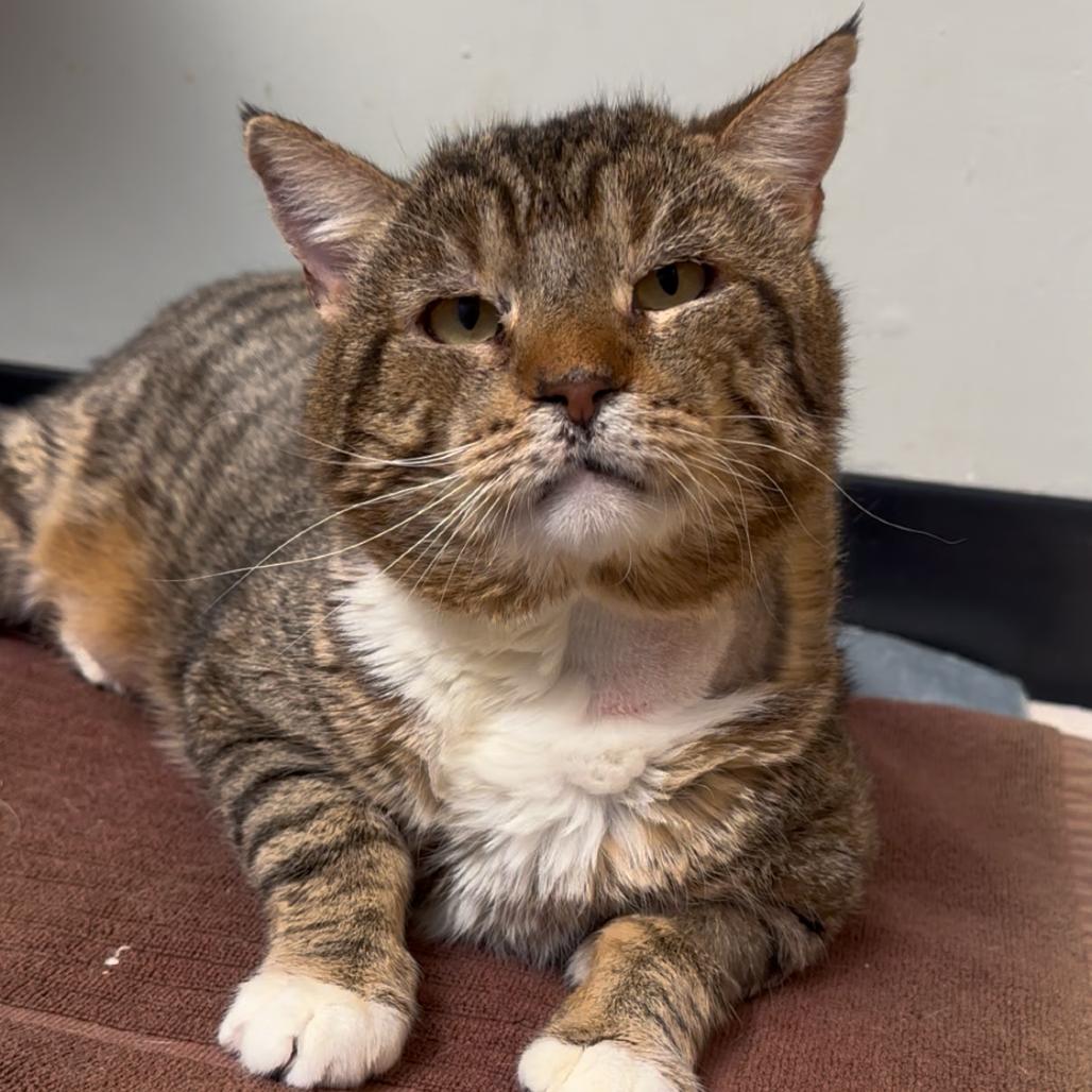 Old Guy — thumbnail 3