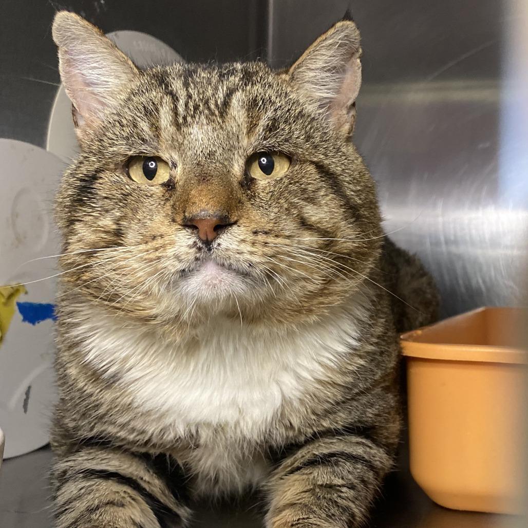 Old Guy — thumbnail 4