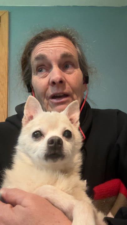 Enlarge Big Bob, an adopted mixed breed in Sheridan, OR video 5/6