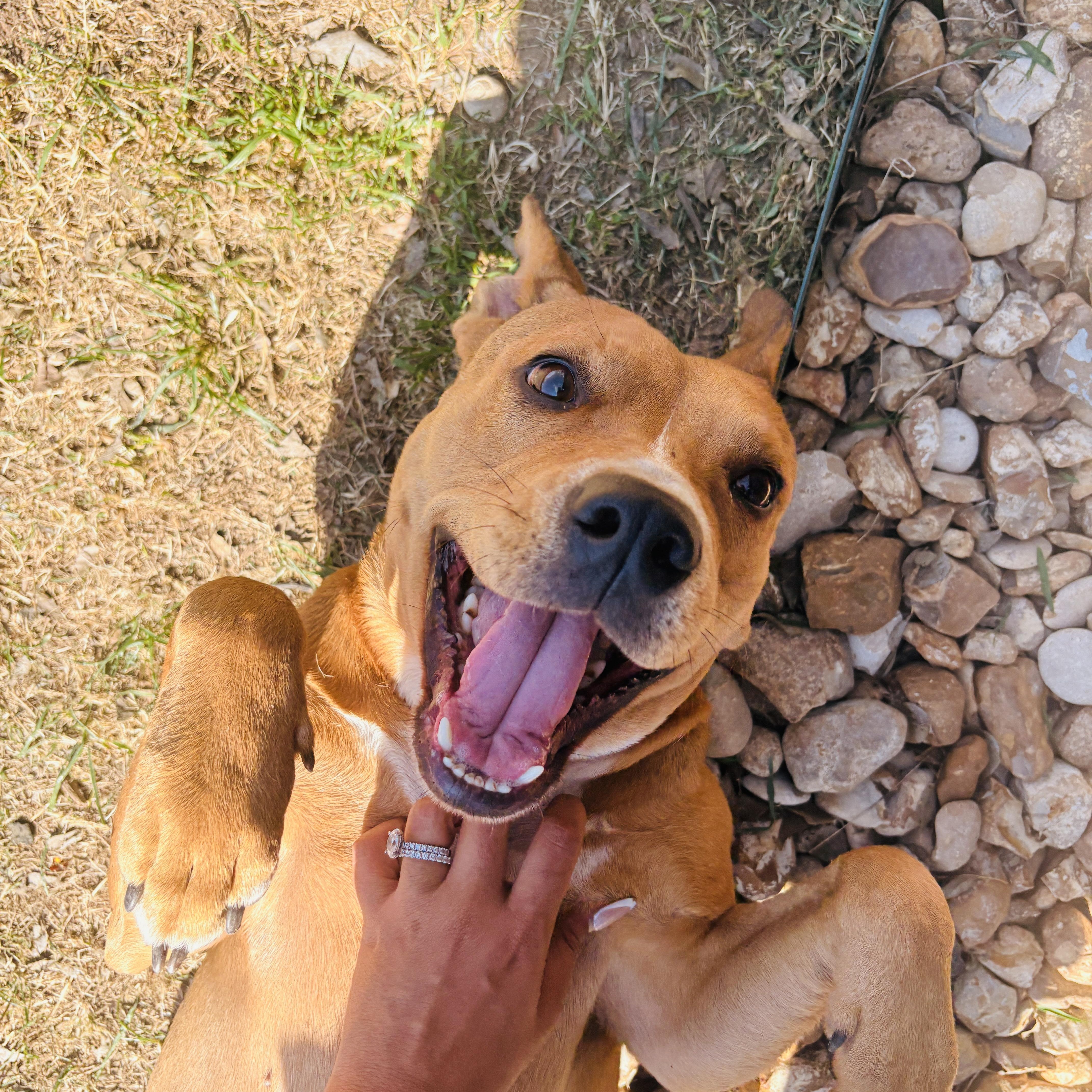 Cally — thumbnail 4