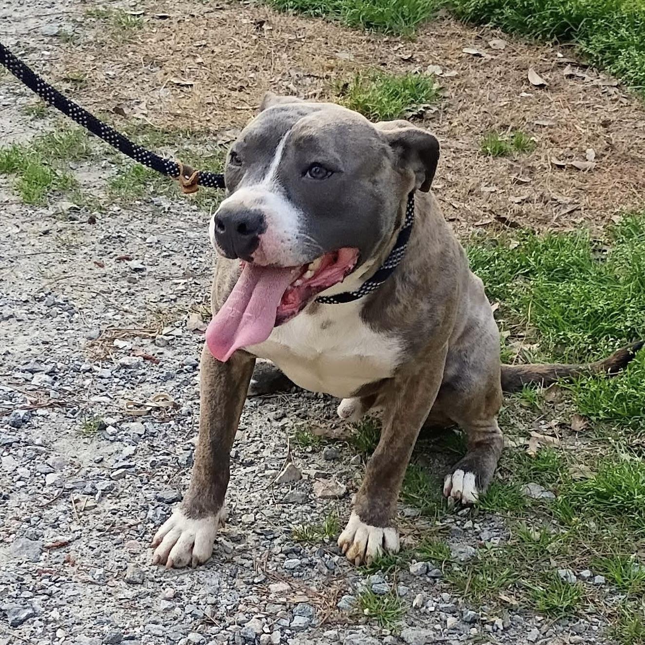 Bluey (20260306-02) — thumbnail 4