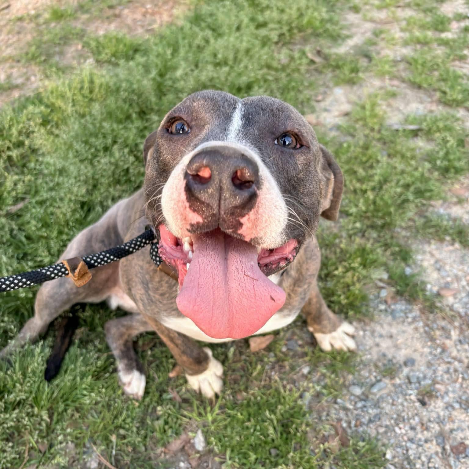 Bluey (20260306-02) — thumbnail 5