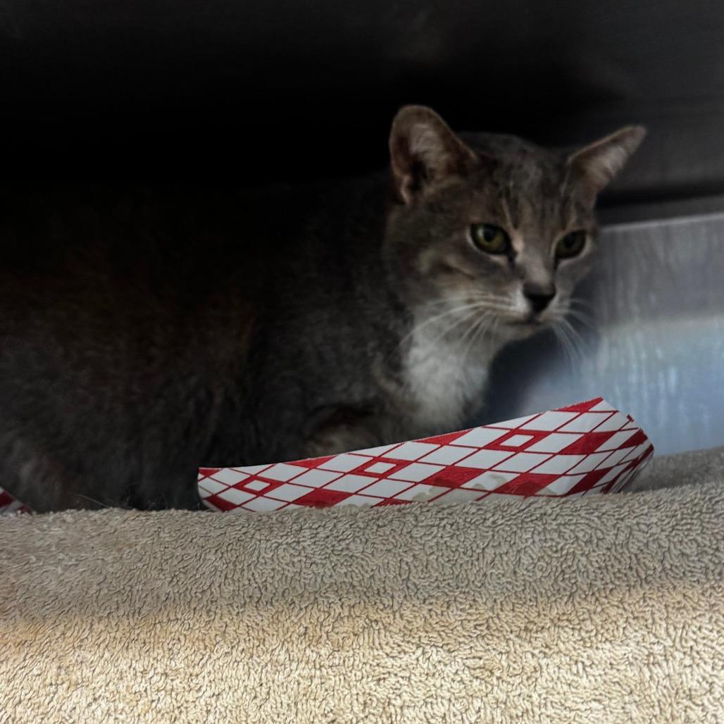 Free Sample — thumbnail 2