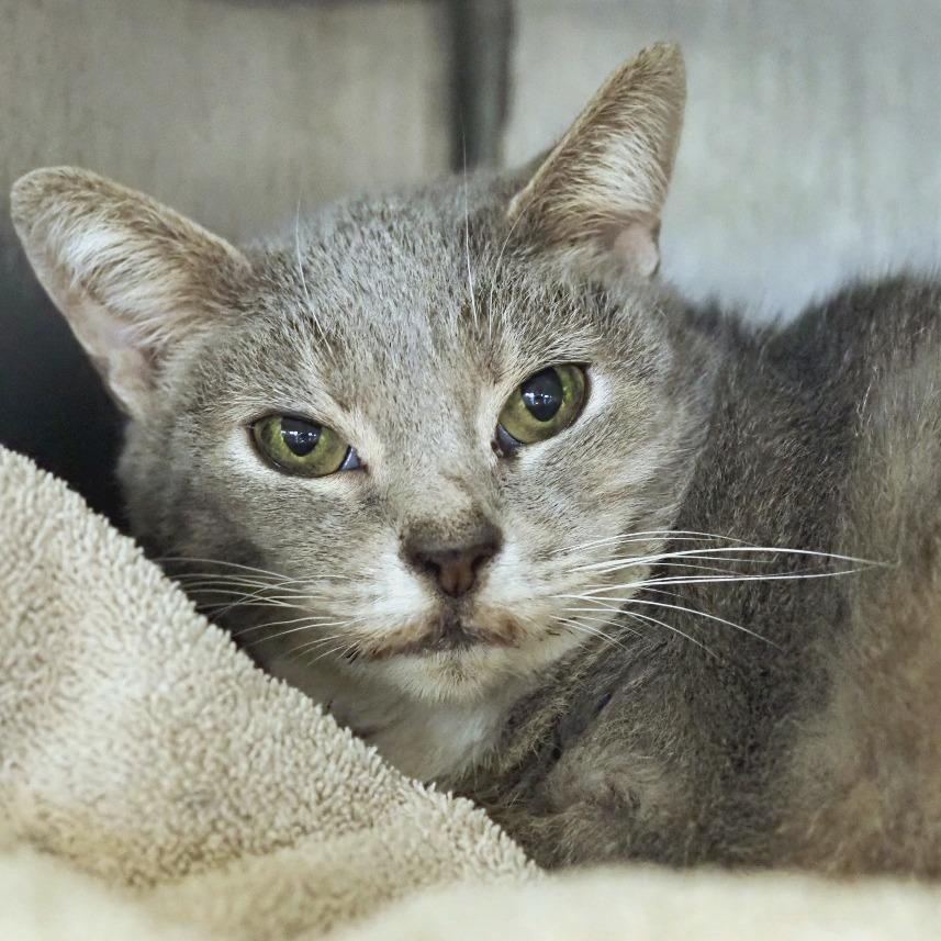 Free Sample — thumbnail 4