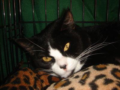 Sabina — thumbnail 2