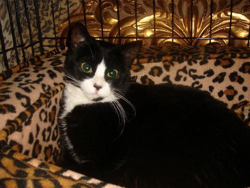 Sabina — thumbnail 3