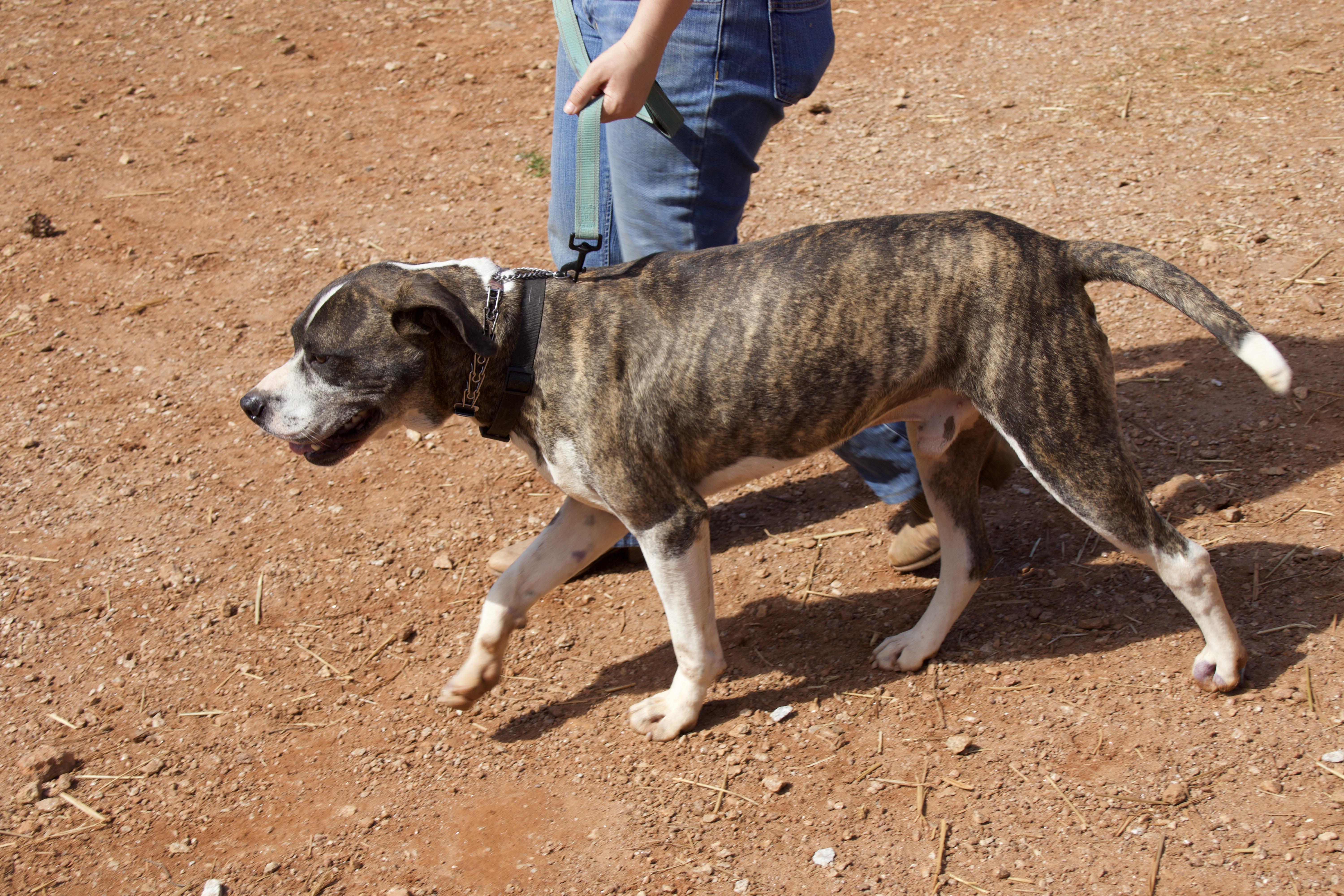 Shiloh photo 2