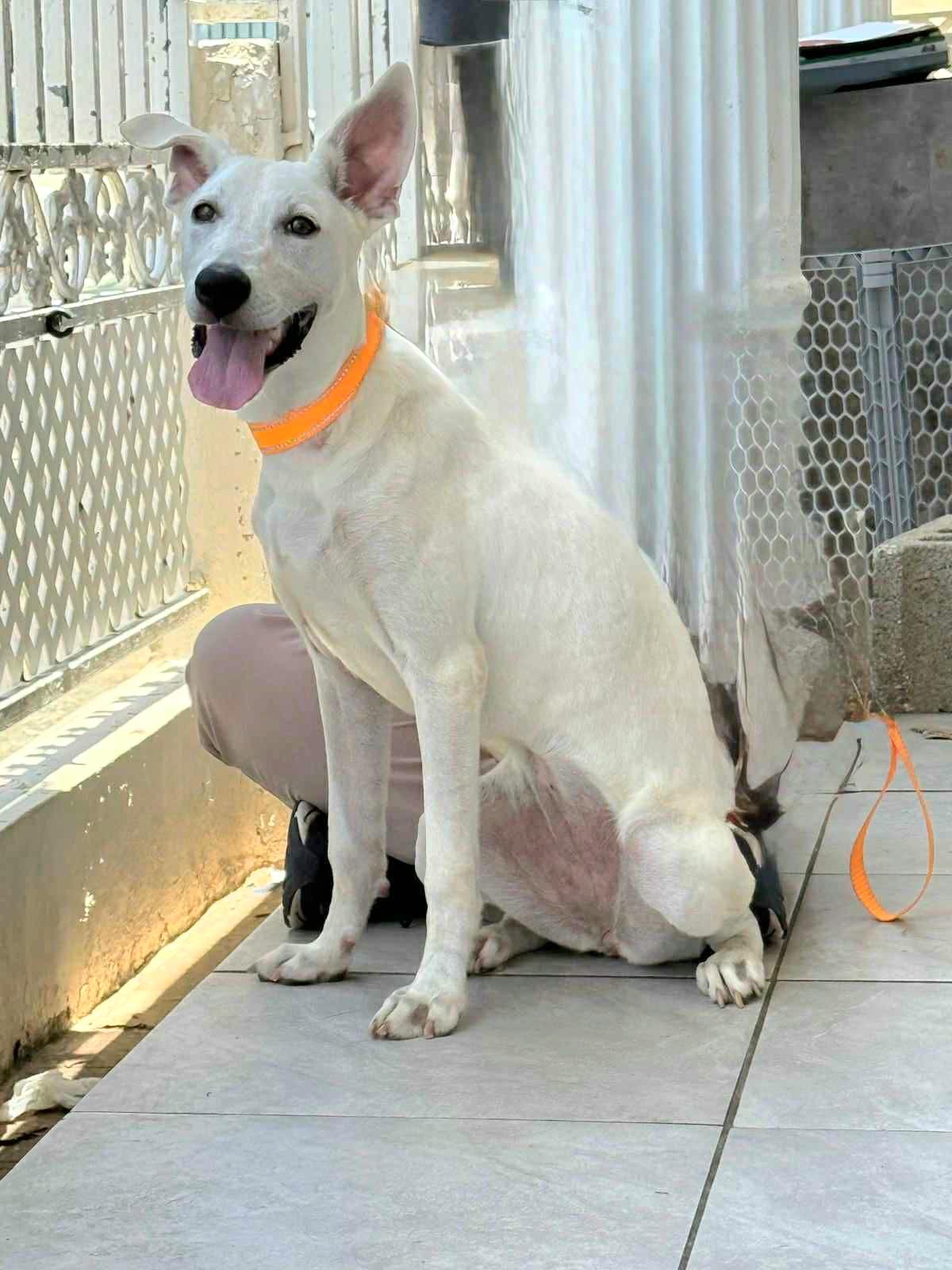 Sky Luna "my Love thumbnail 2