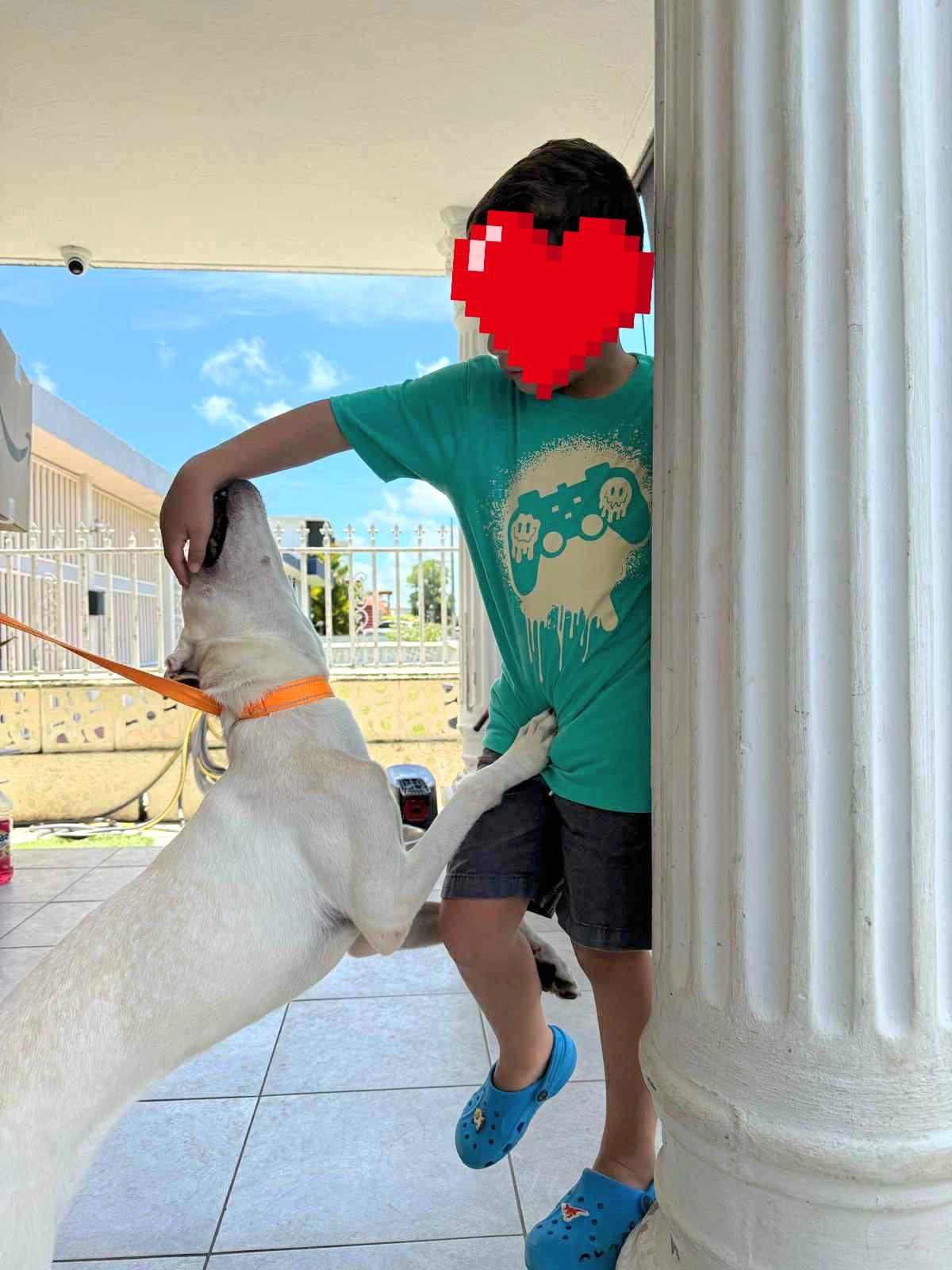 Sky Luna "my Love thumbnail 4