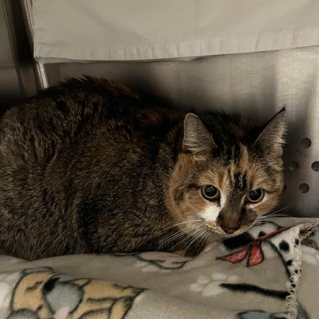 Kaybo — thumbnail 2