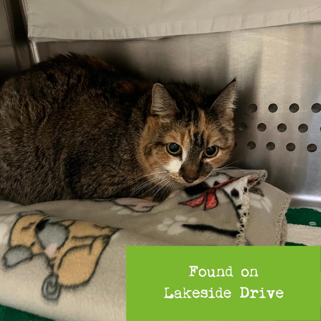 Kaybo — thumbnail 5