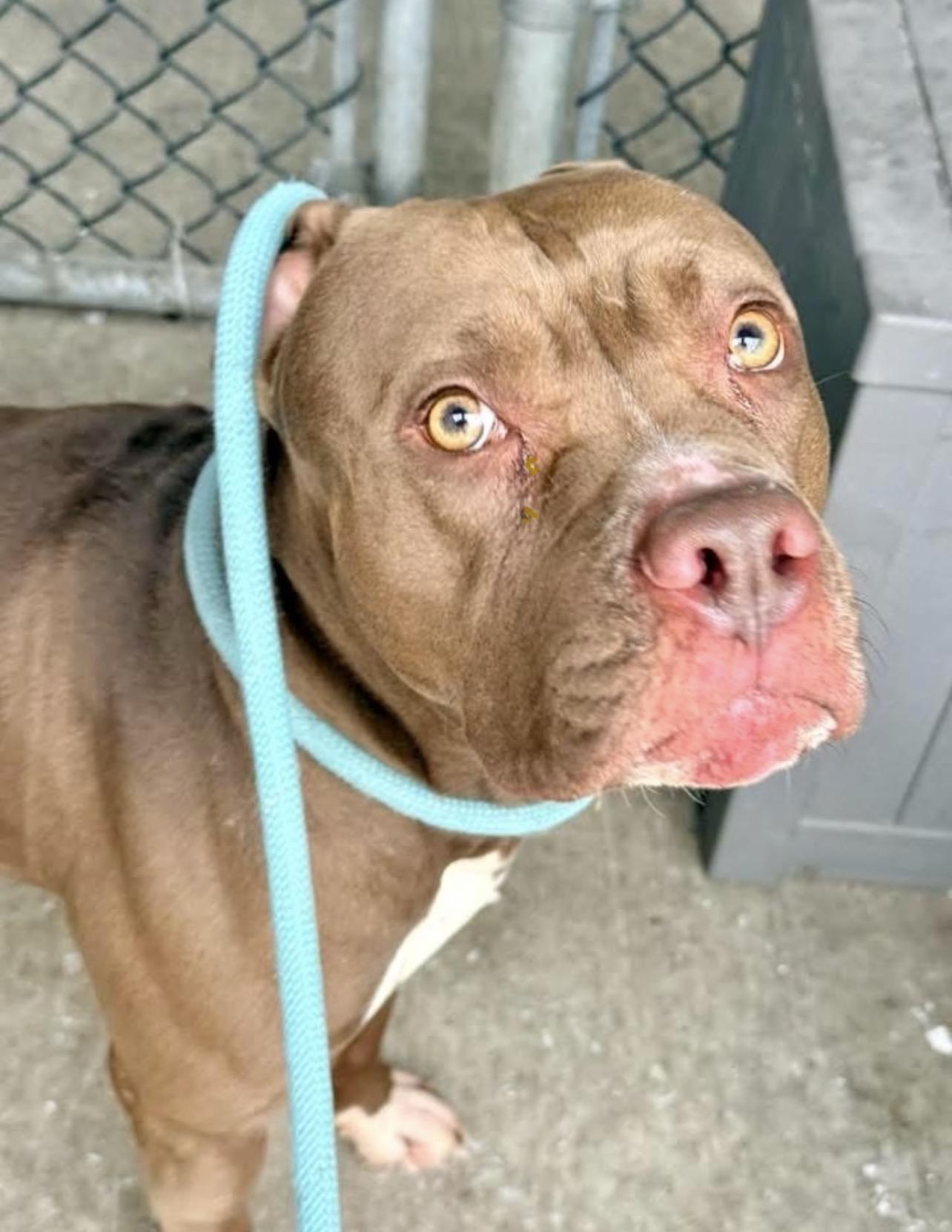 Pennsylvania — thumbnail 2