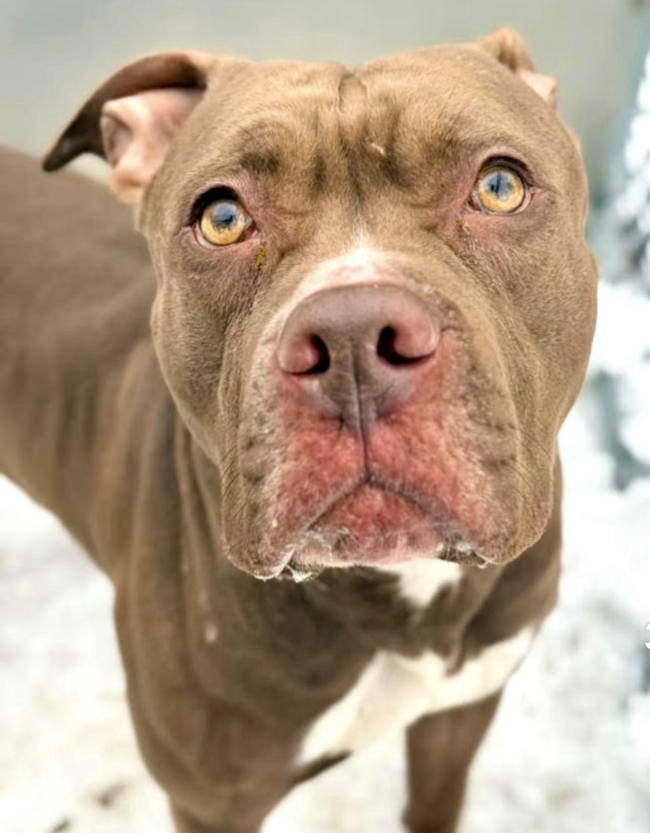 Pennsylvania — thumbnail 3