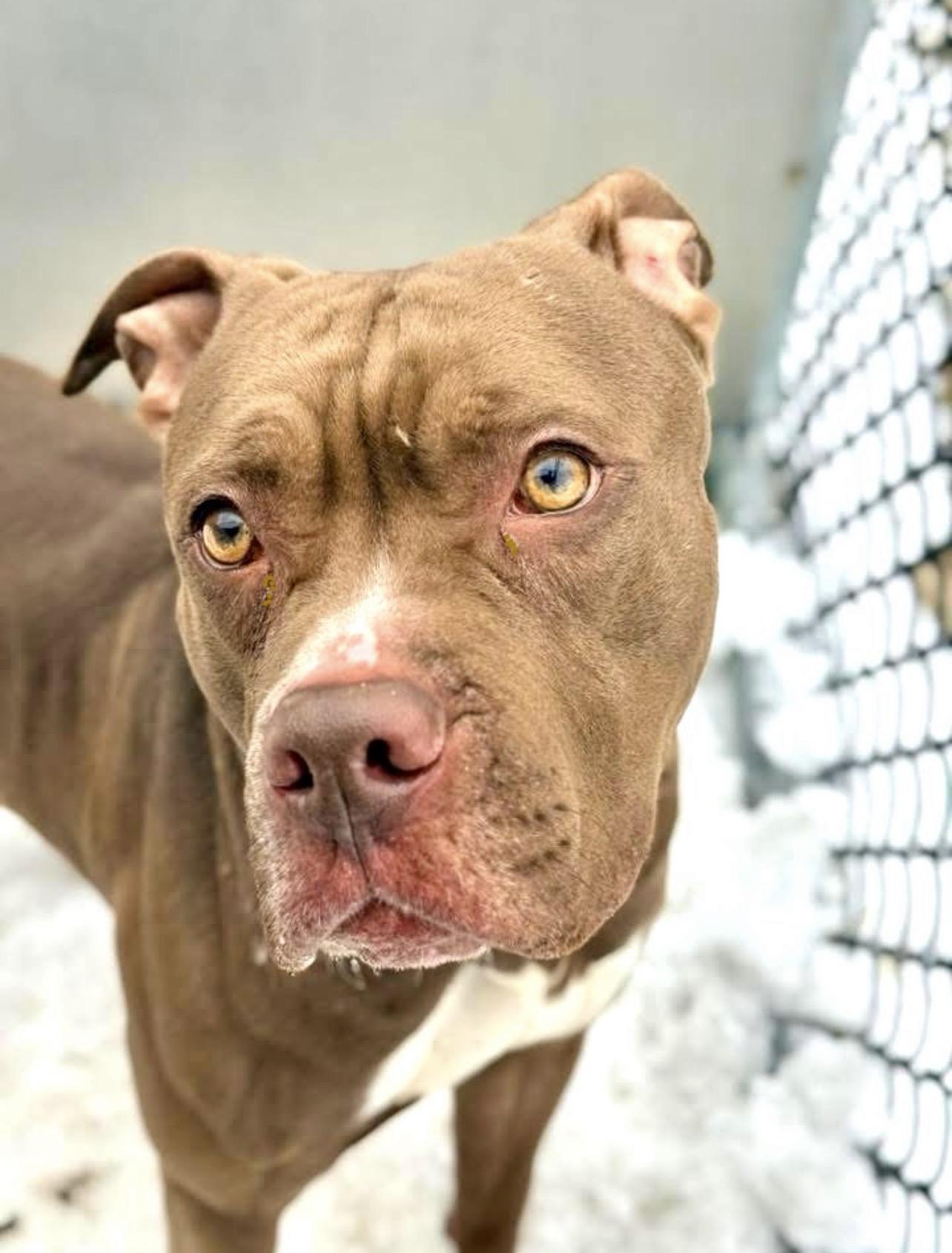 Pennsylvania — thumbnail 4