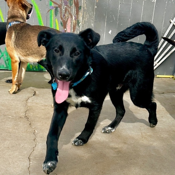 Mica — thumbnail 3