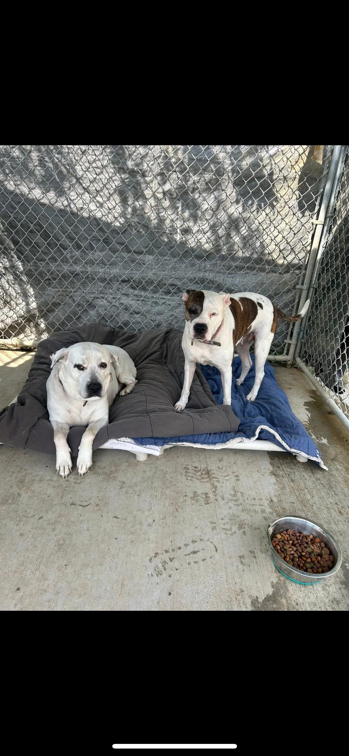 Sugar (Left) and Vina (right) Bonded Pair
