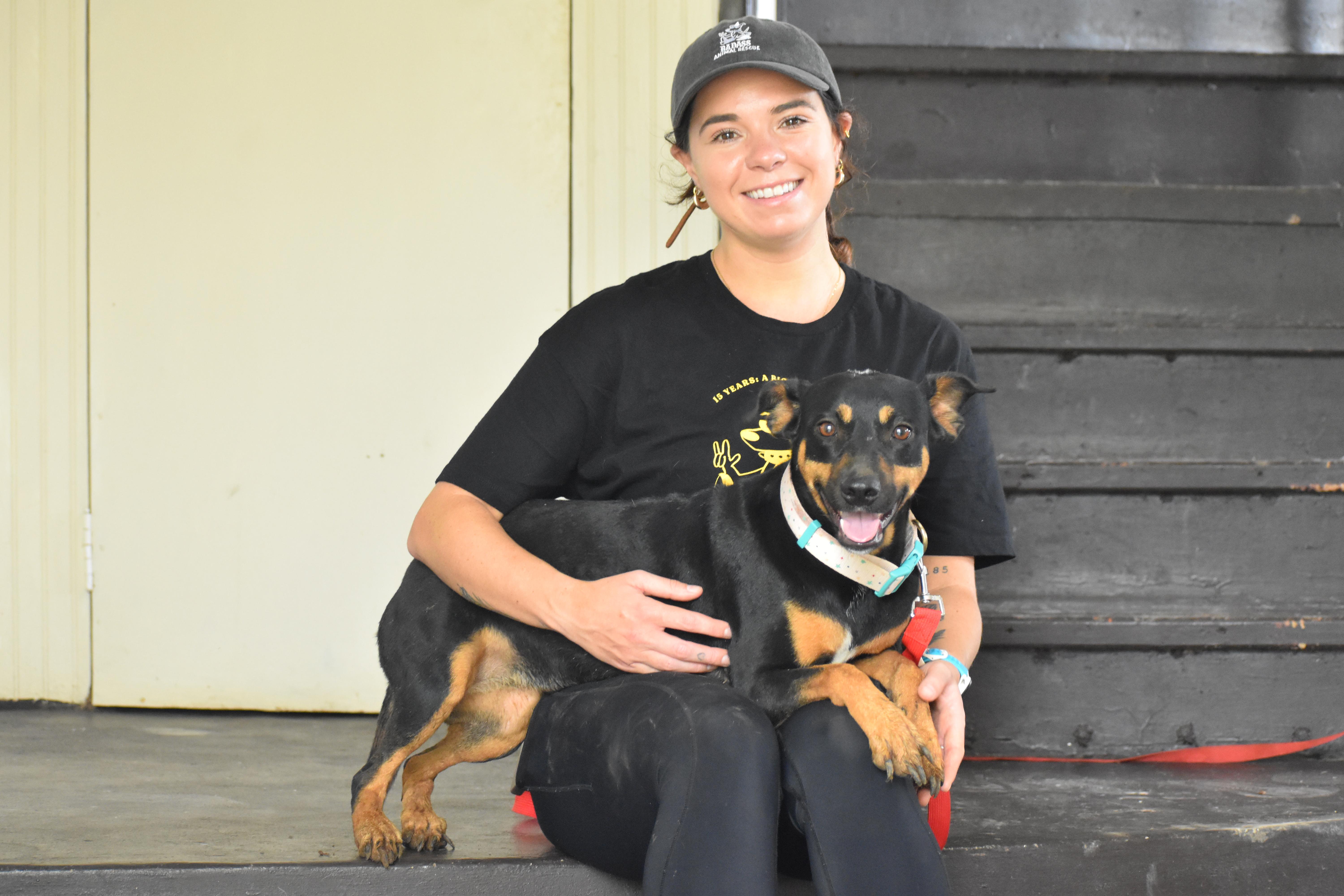 Enlarge Dominica, a ADOPTABLE Miniature Pinscher in Brooklyn, NY image 3/3