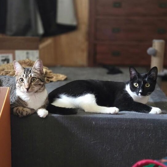 Wednesday Wonderful — thumbnail 4