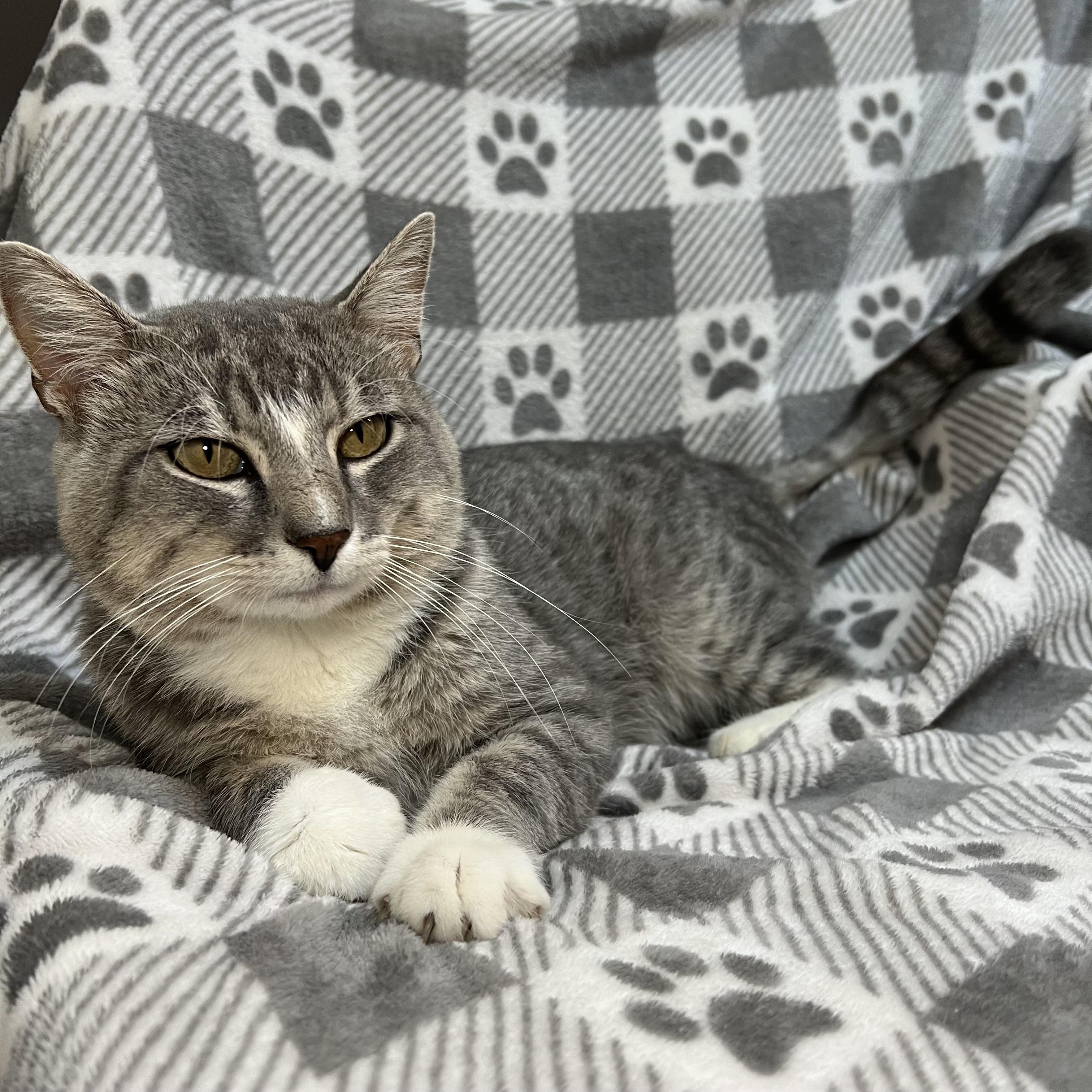 Louie