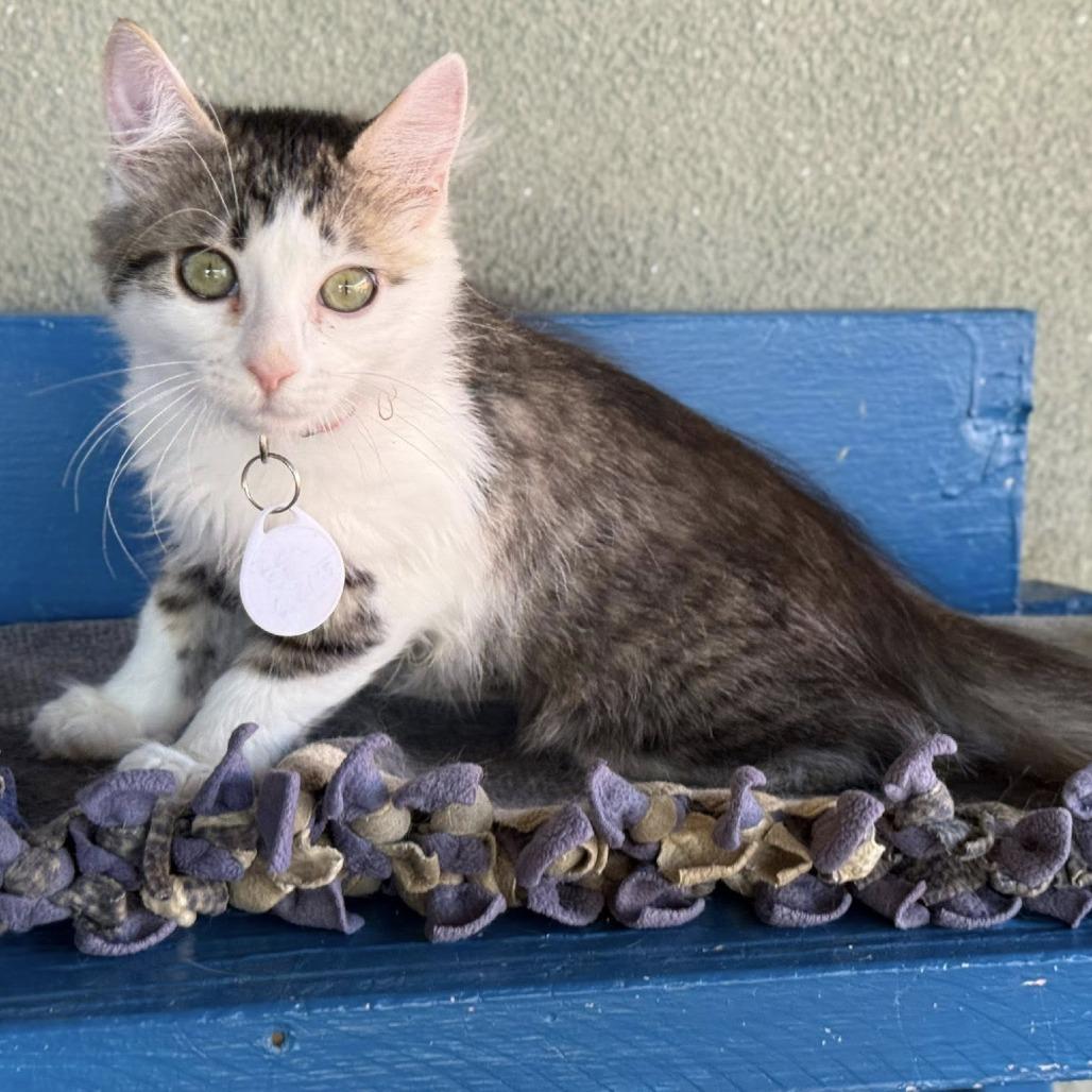 Zion — thumbnail 5