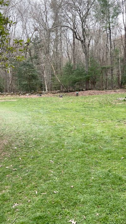 Enlarge Banjo, an adoptable Australian Cattle Dog / Blue Heeler in Lakeville, MA video 6/6