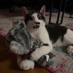 Joe Joe — thumbnail 3