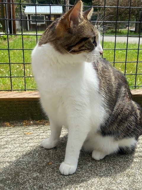 Chloe photo 3