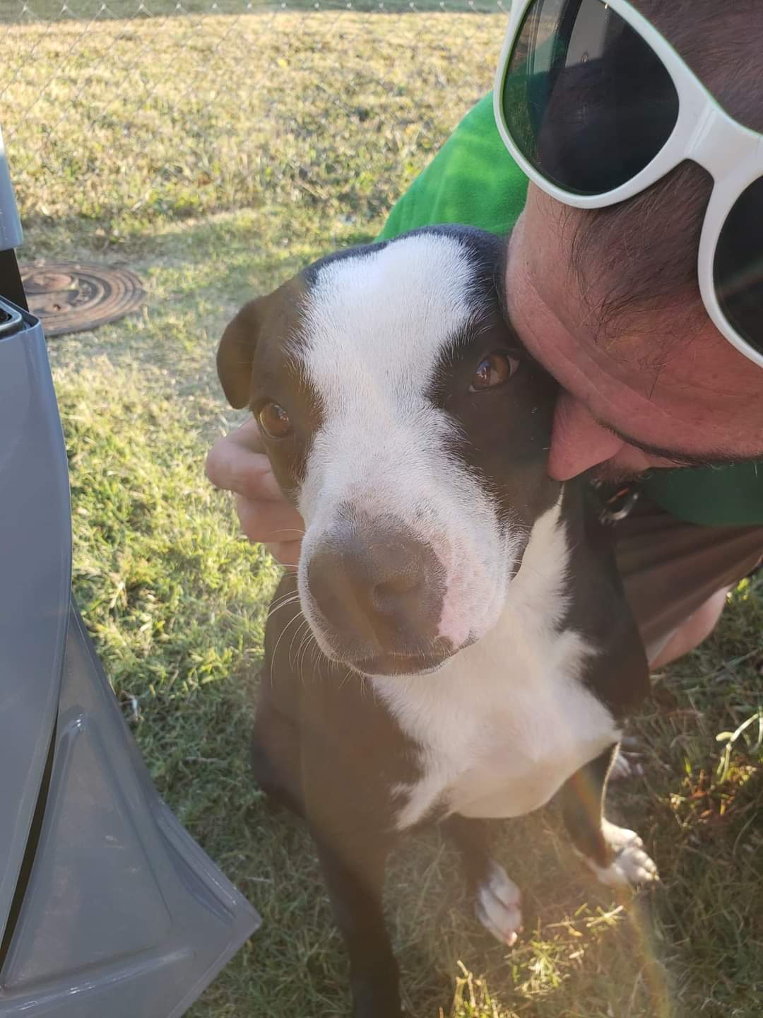 KARMA, a Adoptable mixed breed in TULSA, OK image 6/6