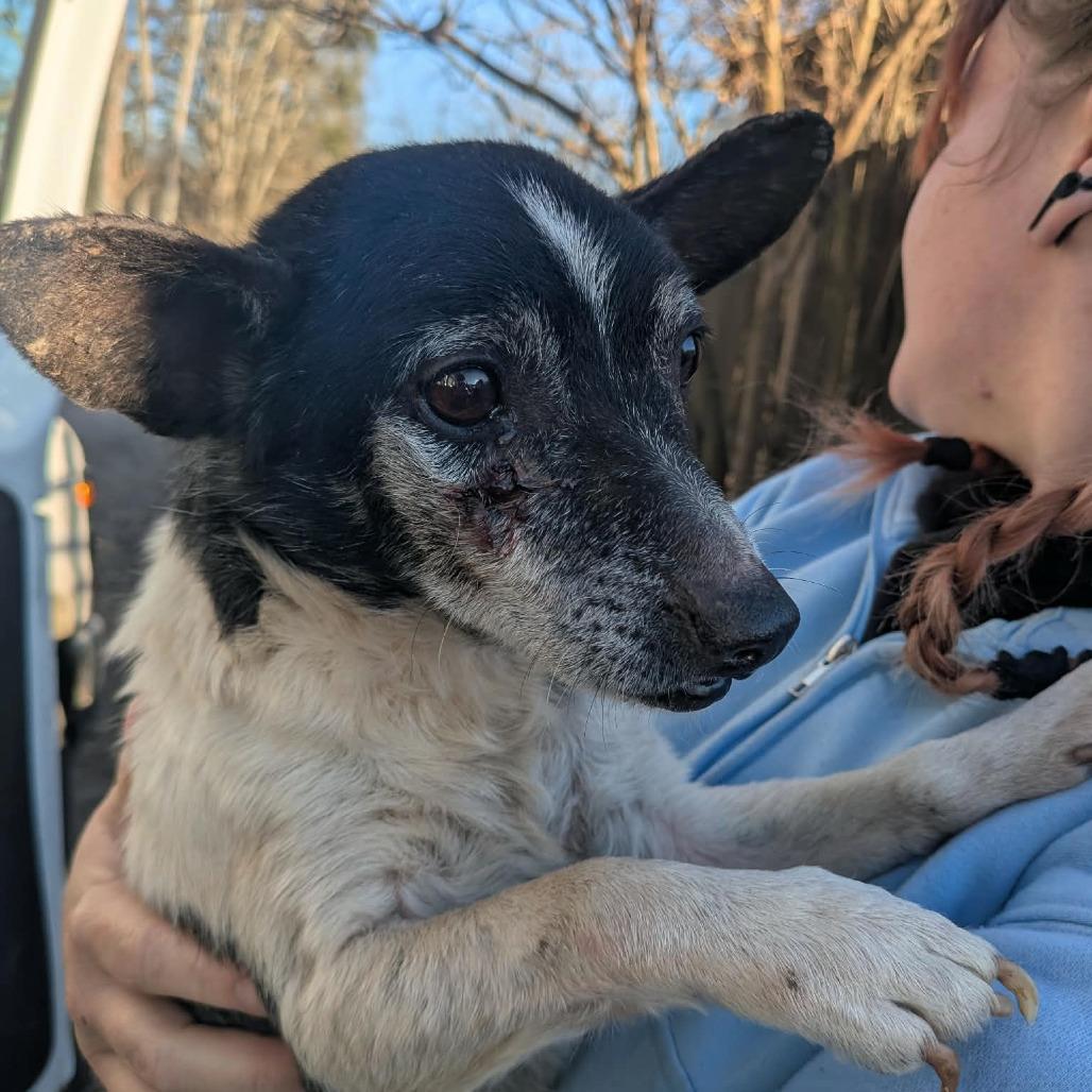 Grady — thumbnail 3