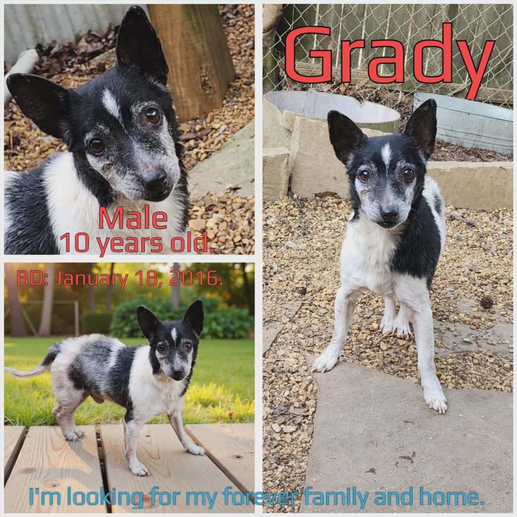 Grady — thumbnail 4