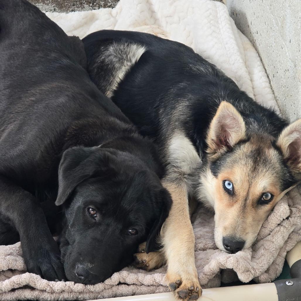 Lita — thumbnail 5