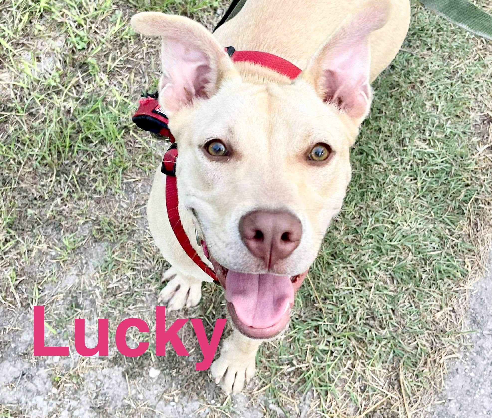 Lucky