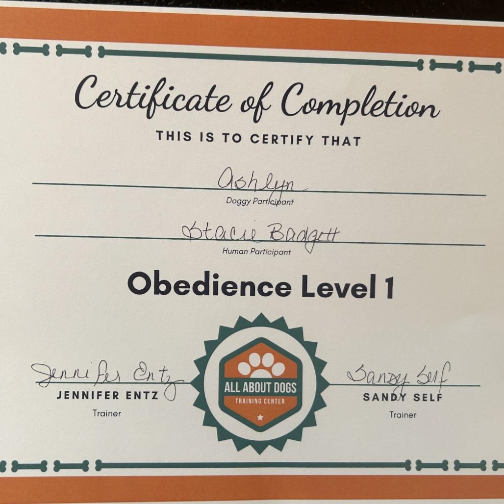 Ashlyn, a Adoptable German Shepherd Dog in Grass Valley, CA image 2/5