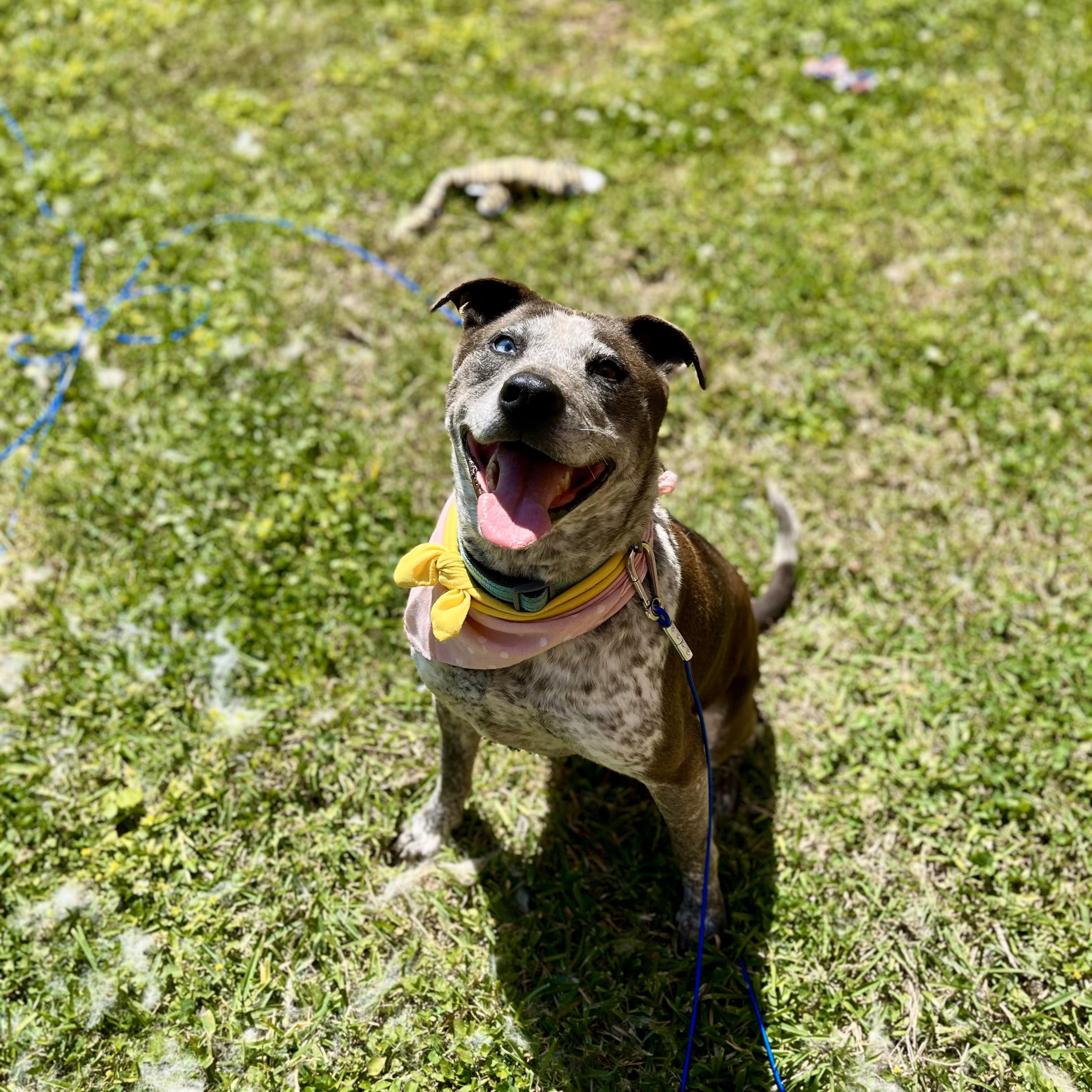 Nezuko Kamado — thumbnail 3